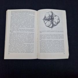 Картинка 5