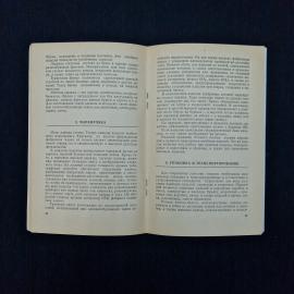 Картинка 5