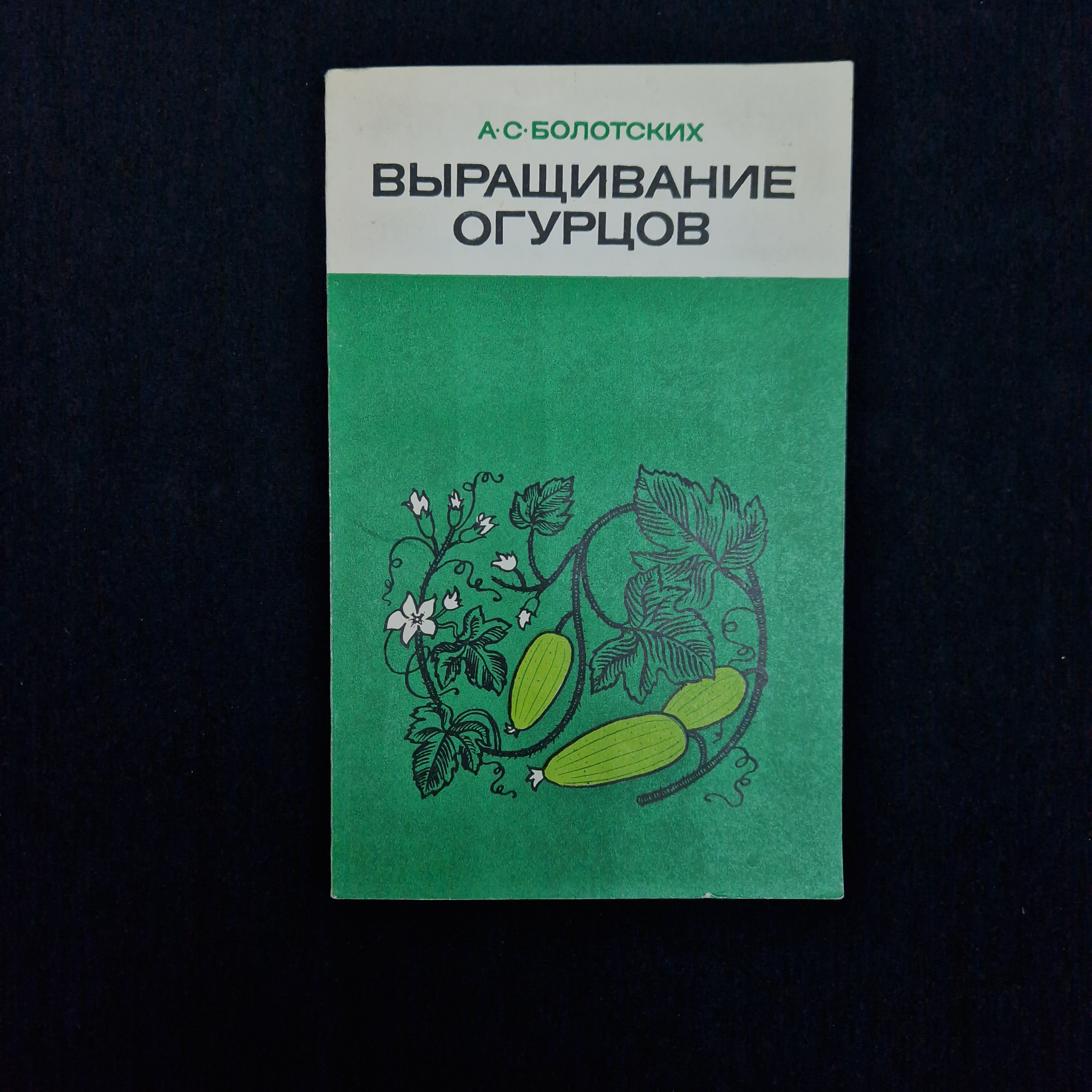 Картинка 1