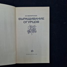 Картинка 3
