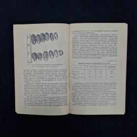 Картинка 5