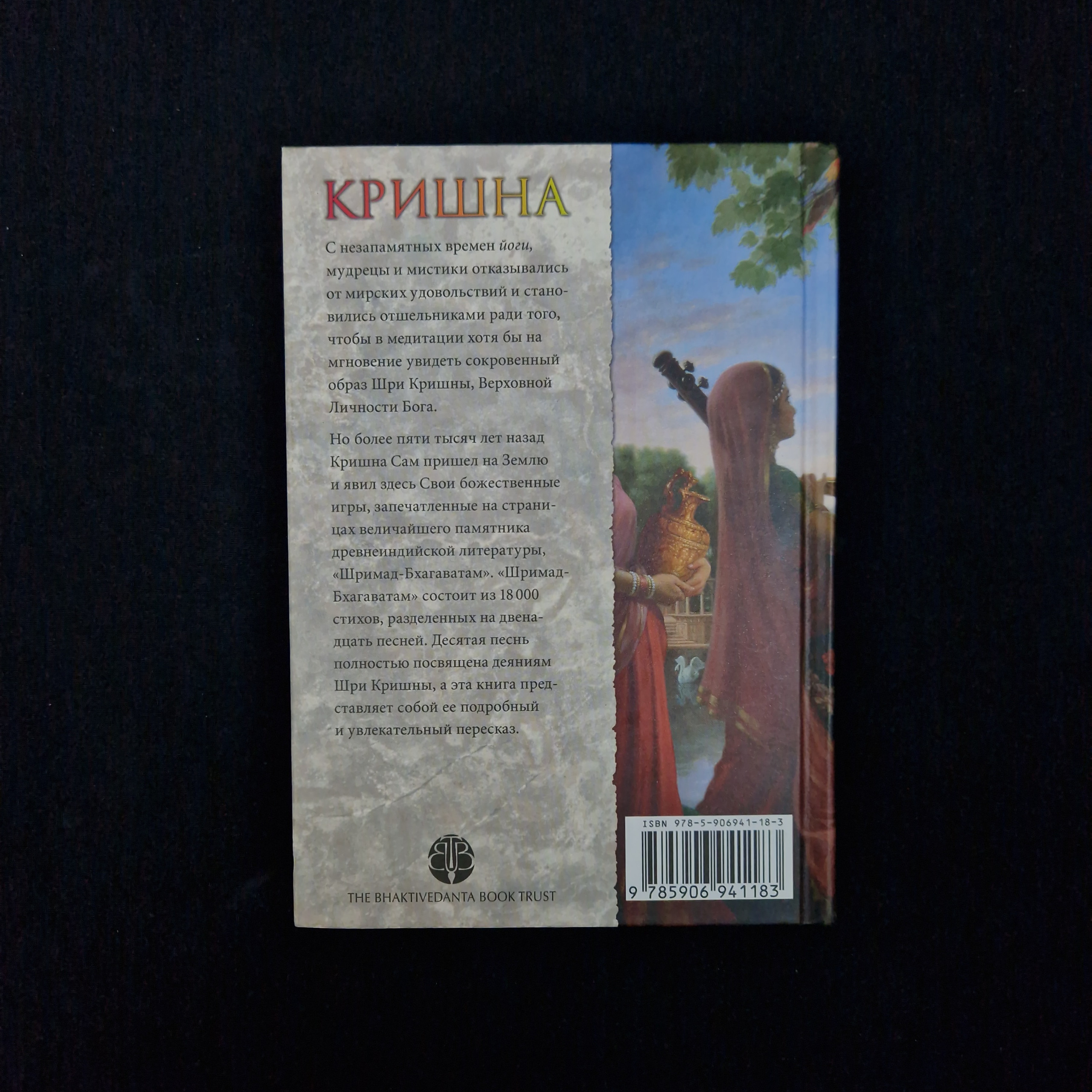 Картинка 3