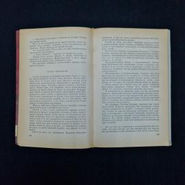 Картинка 5