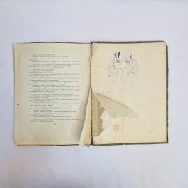 Картинка 6