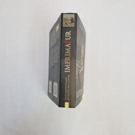 Картинка 2