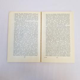 Картинка 6