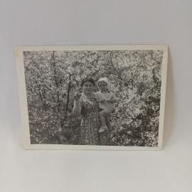 Фотография винтажная, СССР. Черно белый семейный снимок с ребенком на фоне цветущего сада