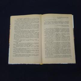 Картинка 4