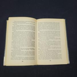 Картинка 4
