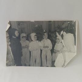 Картинка 1