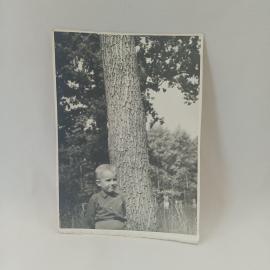 Фотография винтажная, СССР. Черно белый любительский снимок ребенка на природе, Киев 1970 год