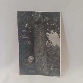 Фотография винтажная, СССР. Черно белый снимок с ребенком у дерева, бумажный отпечаток