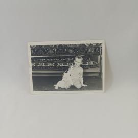Фотография винтажная, СССР. Черно белый семейный снимок с ребенком и собакой, бумага