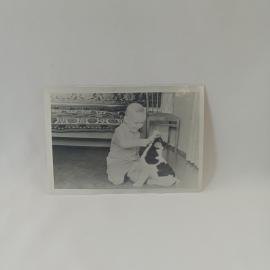 Фотография винтажная, СССР. Черно белый семейный снимок с ребенком и собакой