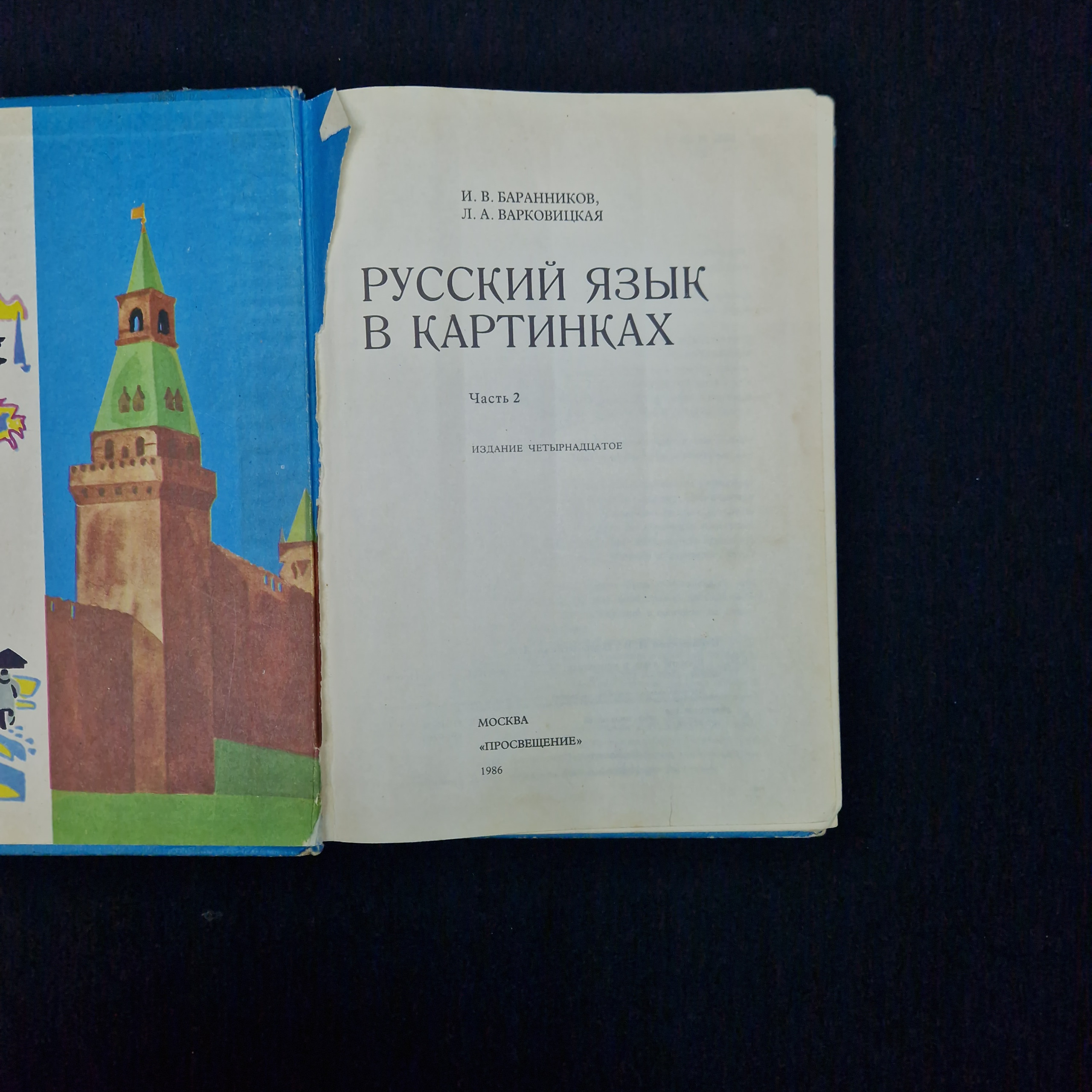 Картинка 4