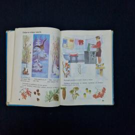 Картинка 6