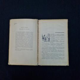 Картинка 5
