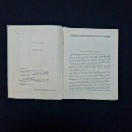 Картинка 5