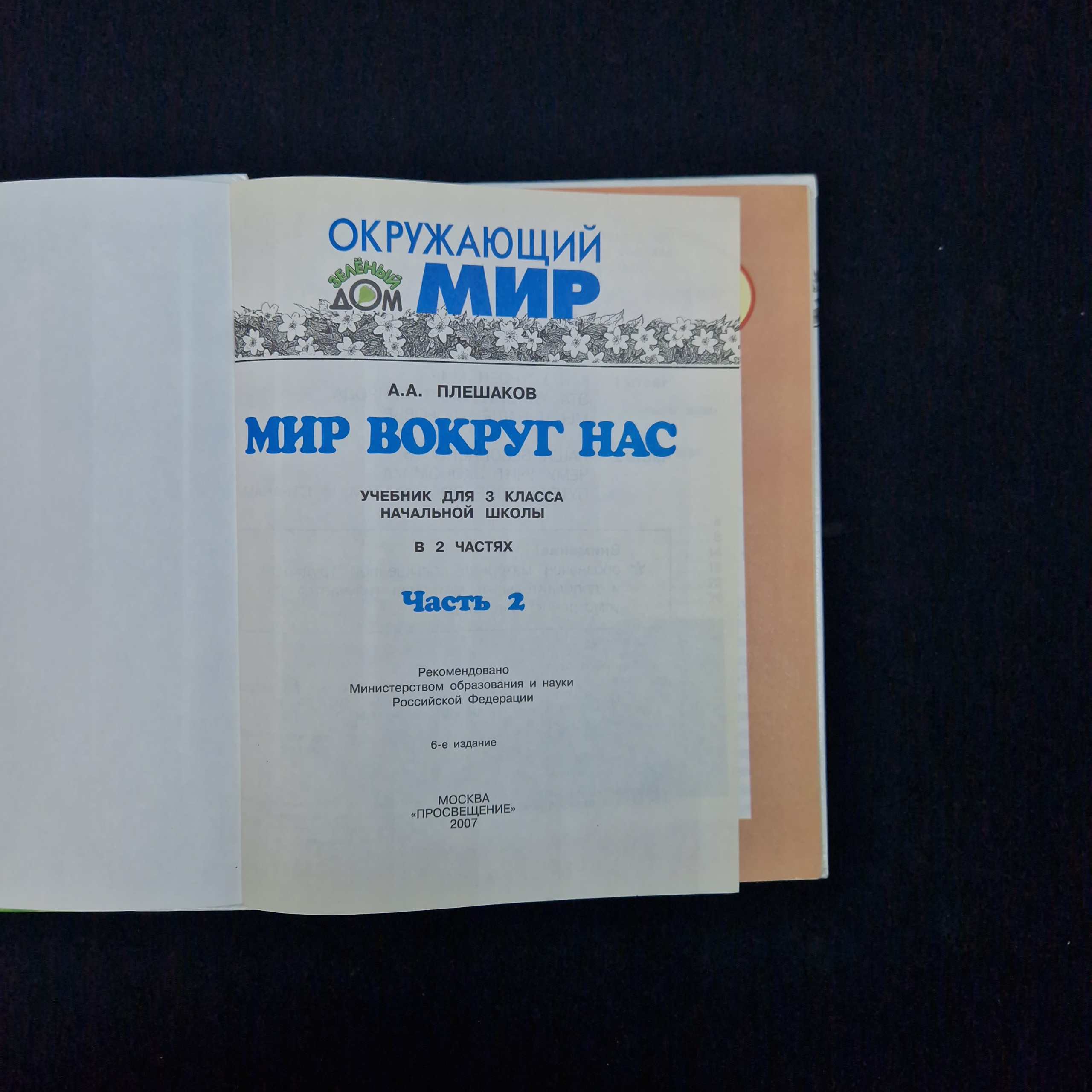 Картинка 4