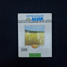Картинка 3