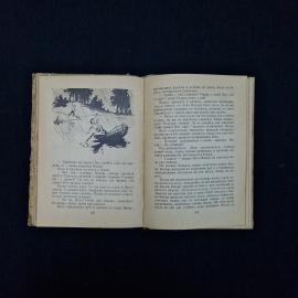 Картинка 6