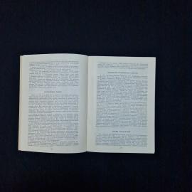 Картинка 4