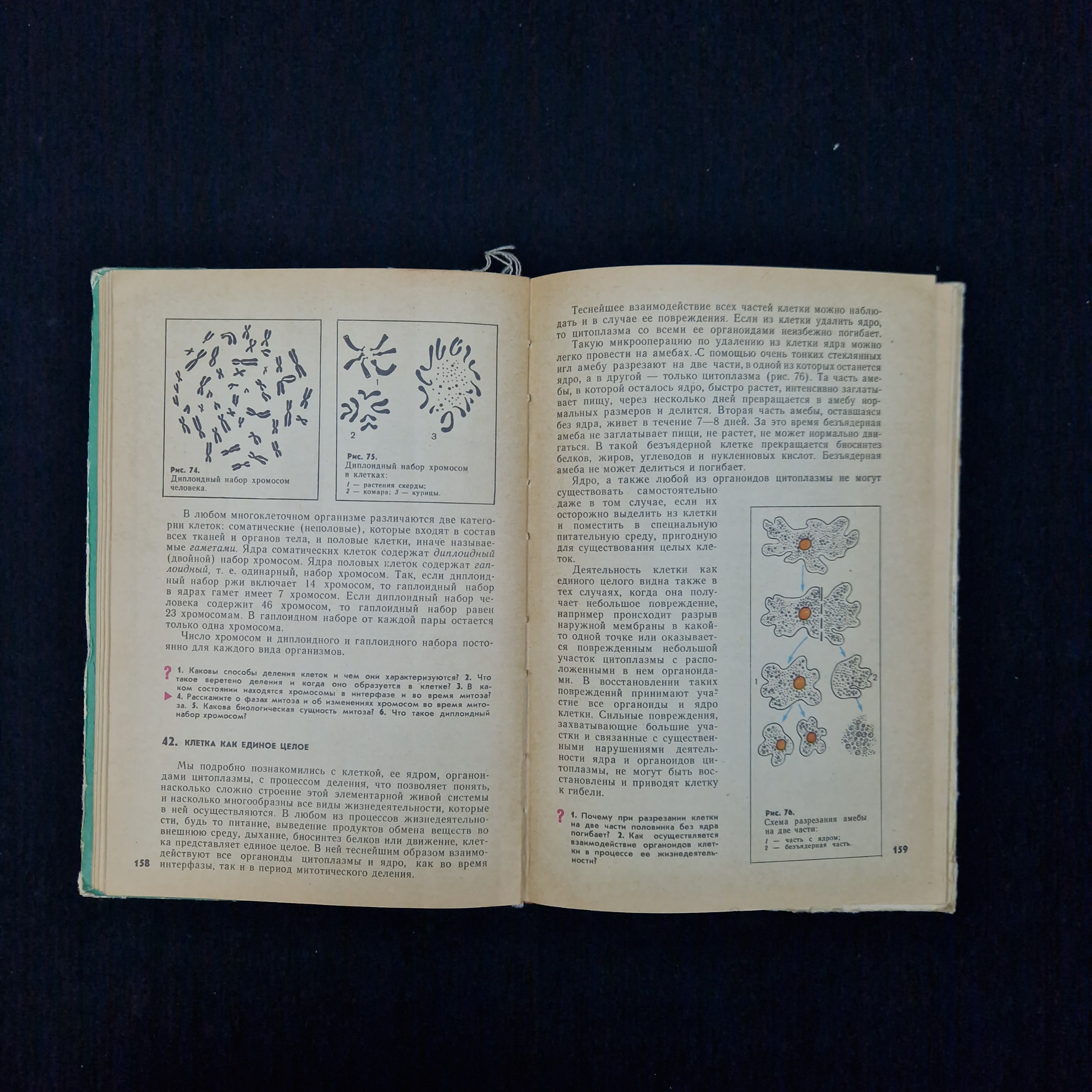 Картинка 6
