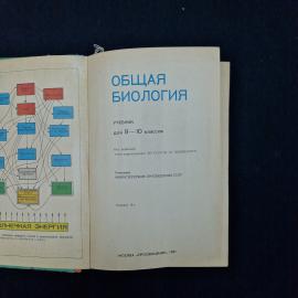 Картинка 4