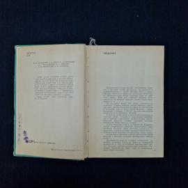 Картинка 5