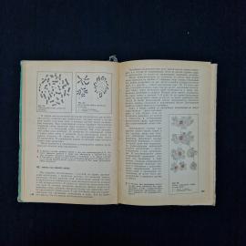 Картинка 6