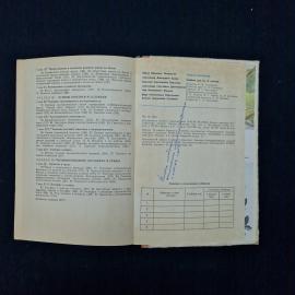 Картинка 8