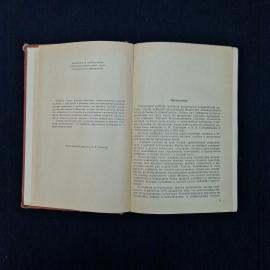 Картинка 5