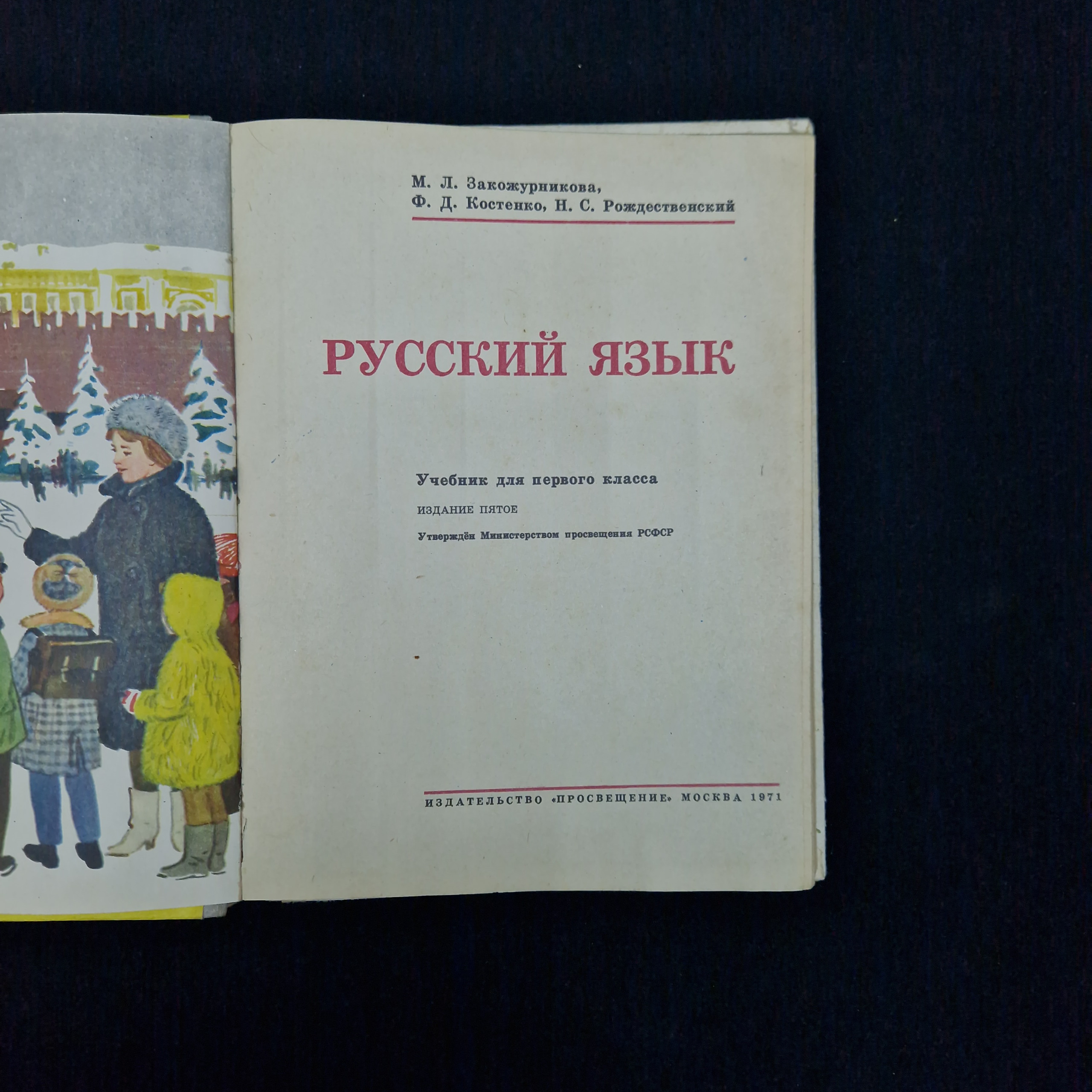 Картинка 5