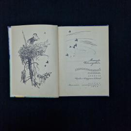 Картинка 4