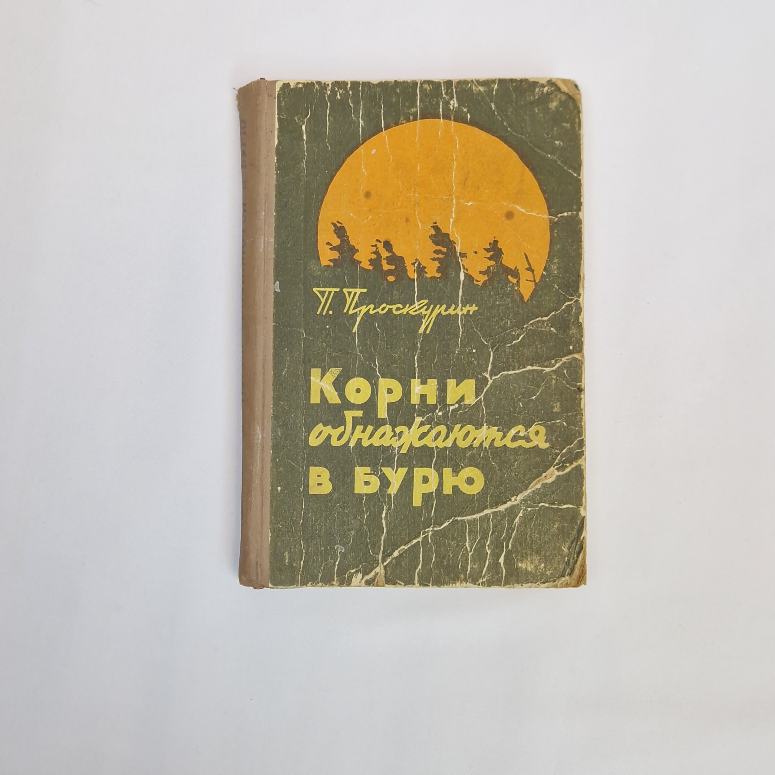 Картинка 1