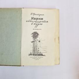 Картинка 4