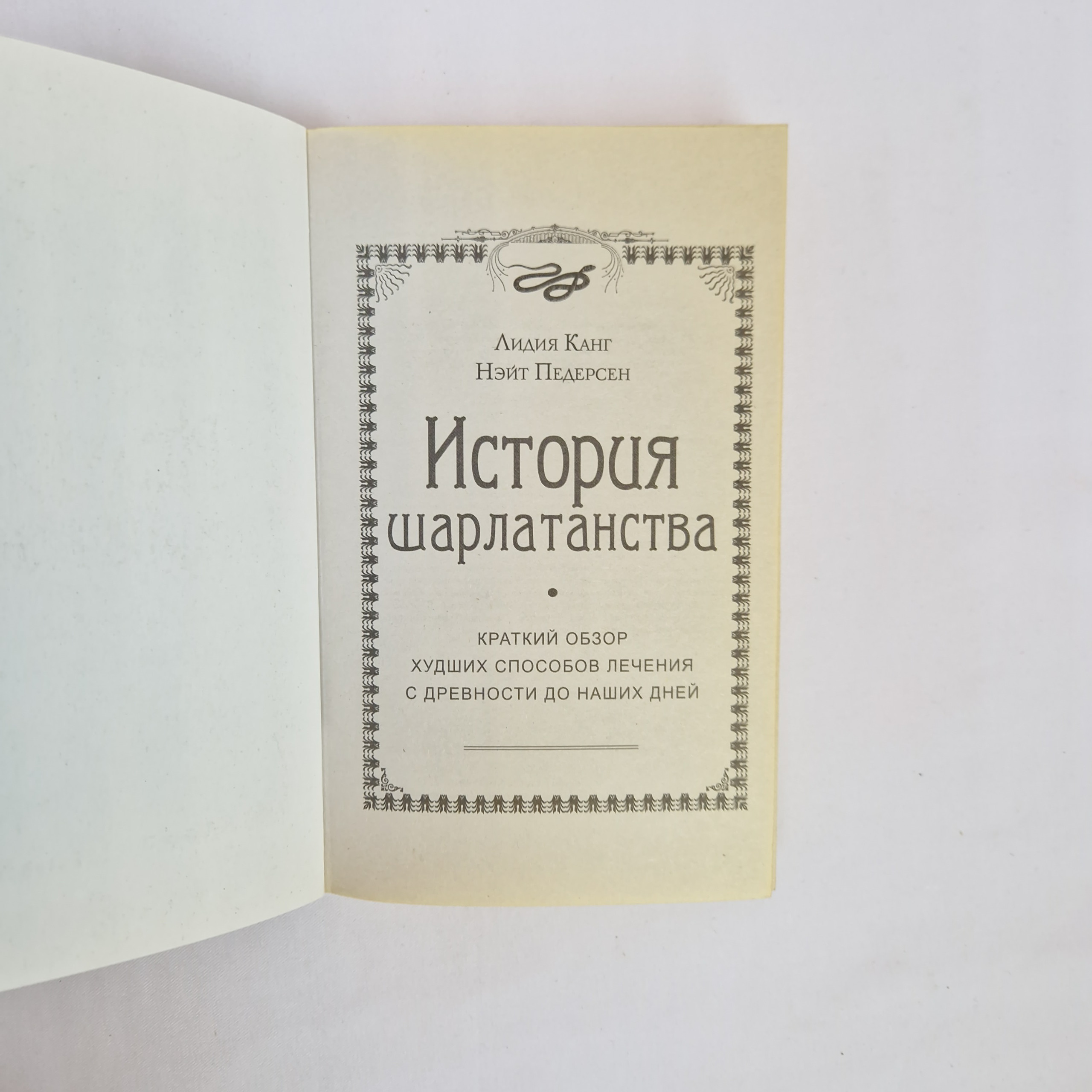 Картинка 4
