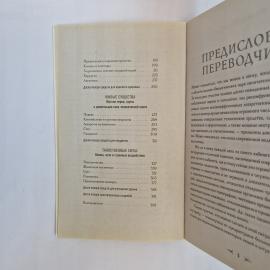 Картинка 7