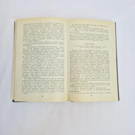 Картинка 5