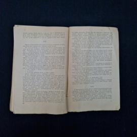 Картинка 7