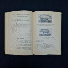 Картинка 6