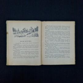 Картинка 5