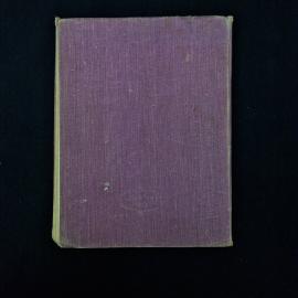 Картинка 3