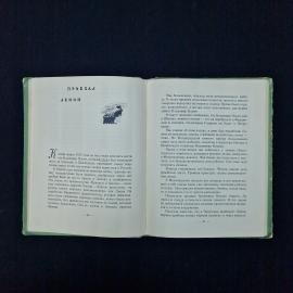 Картинка 5