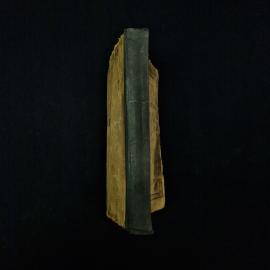 Картинка 2