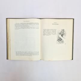 Картинка 6