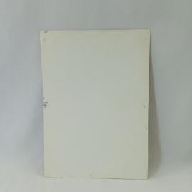 Картинка 2