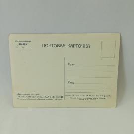 Картинка 2