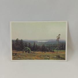Открытка СССР. Шишкин Лесные дали, пейзаж, Третьяковская галерея, Москва. Винтажная открытка.