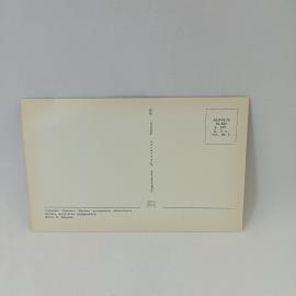 Картинка 2